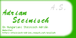adrian steinisch business card